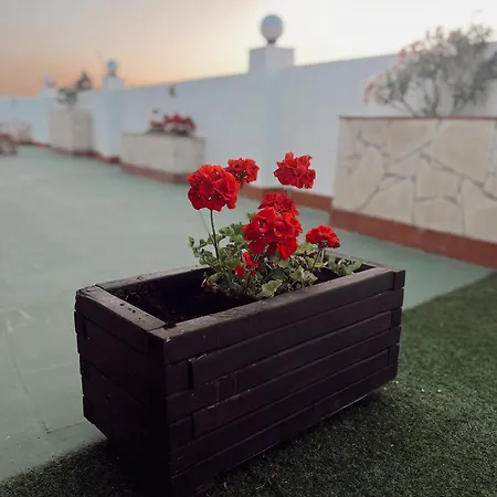 公寓 Atico La Terraza 丰希罗拉